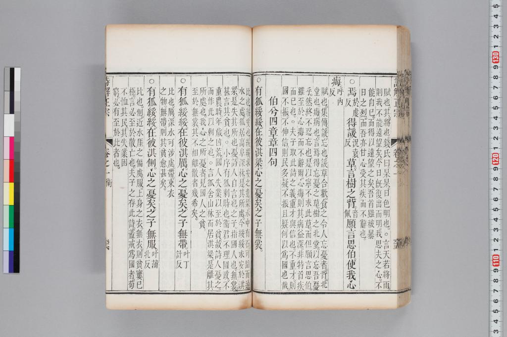 標準画像へ