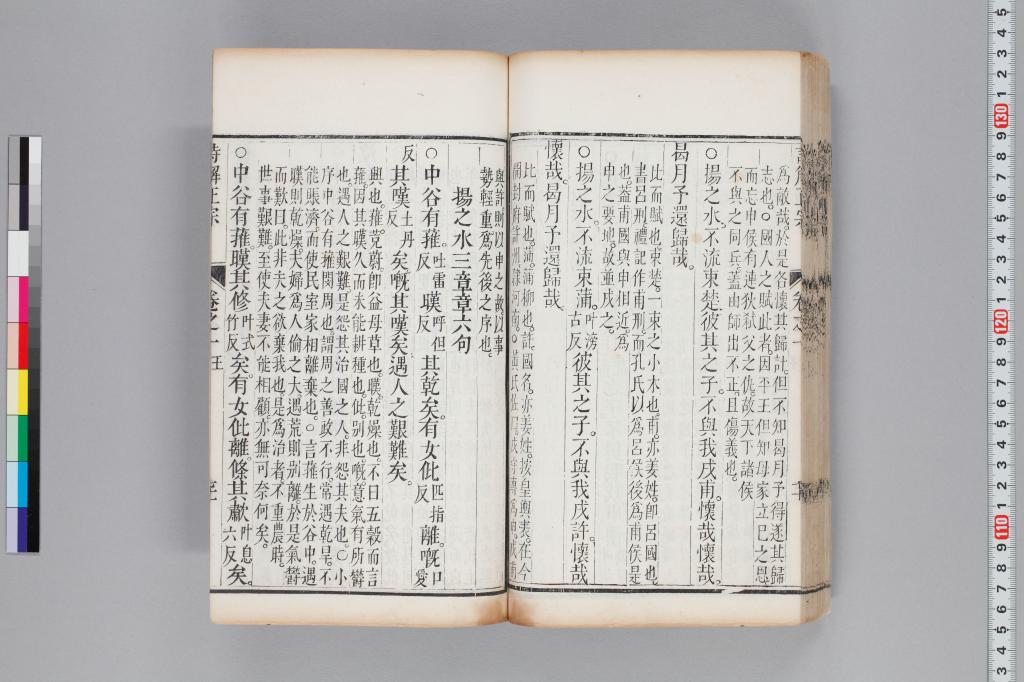標準画像へ