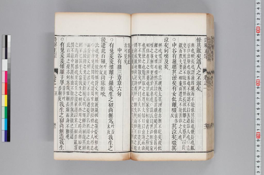 標準画像へ