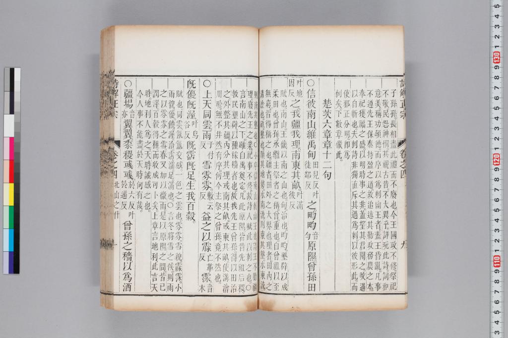 標準画像へ