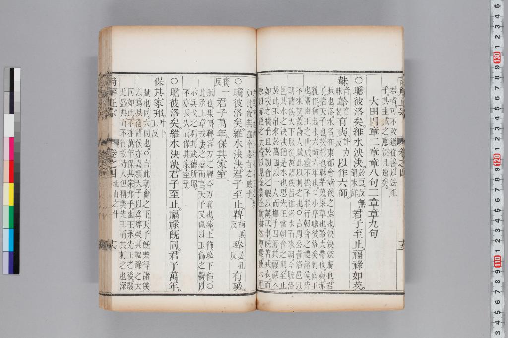 標準画像へ
