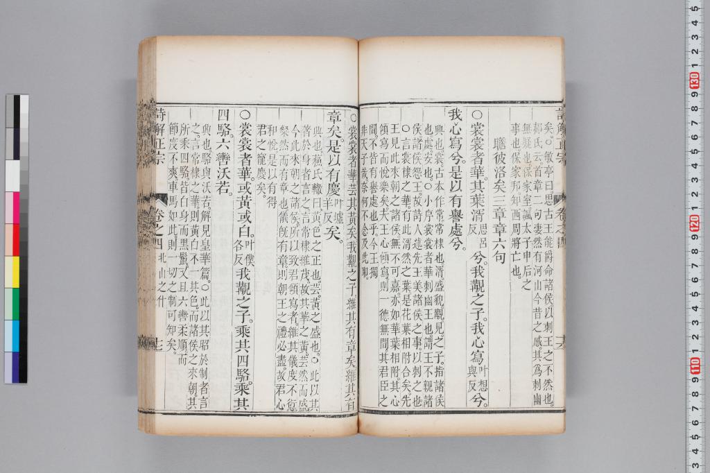 標準画像へ