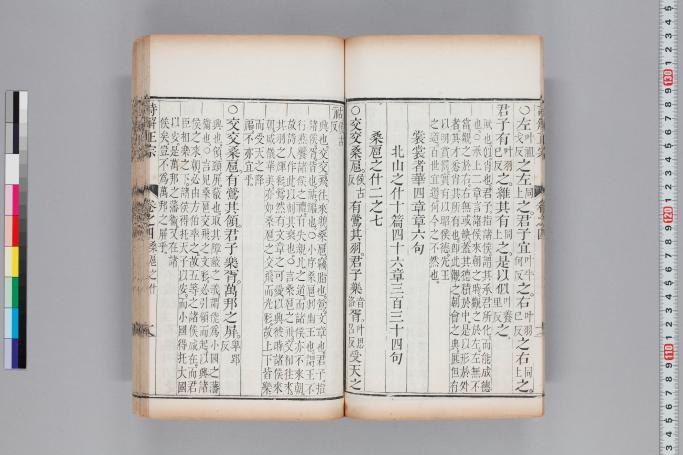 拡大画像へ