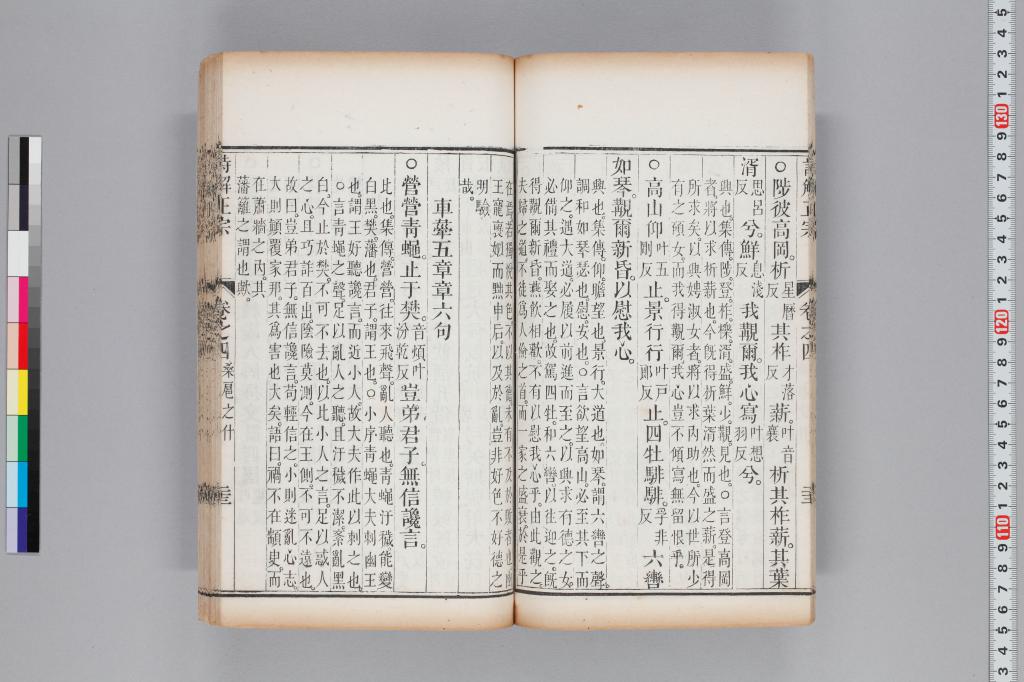 標準画像へ