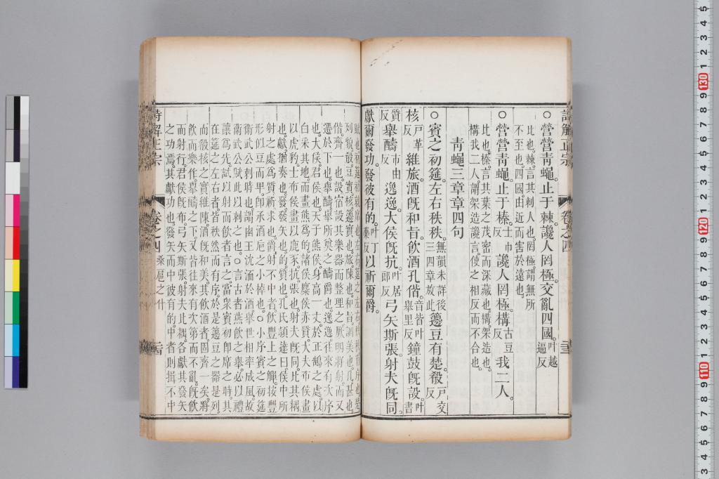 標準画像へ