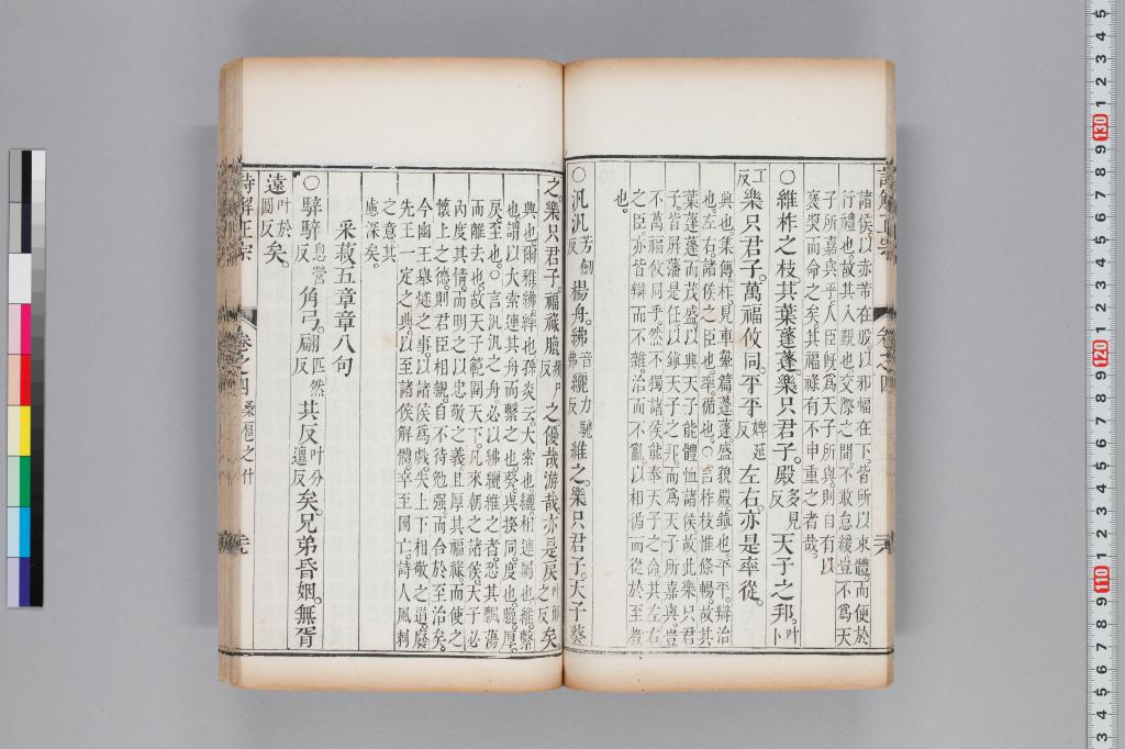 標準画像へ