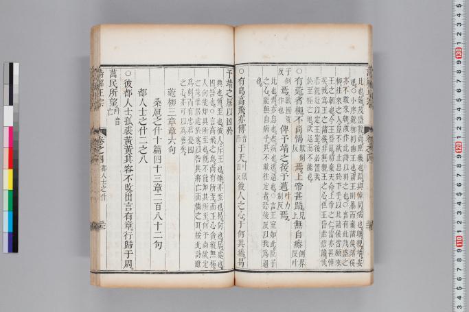 拡大画像へ
