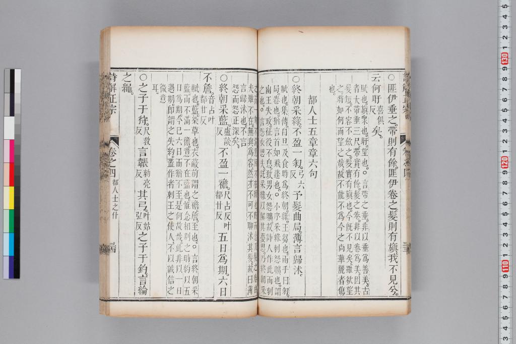 標準画像へ