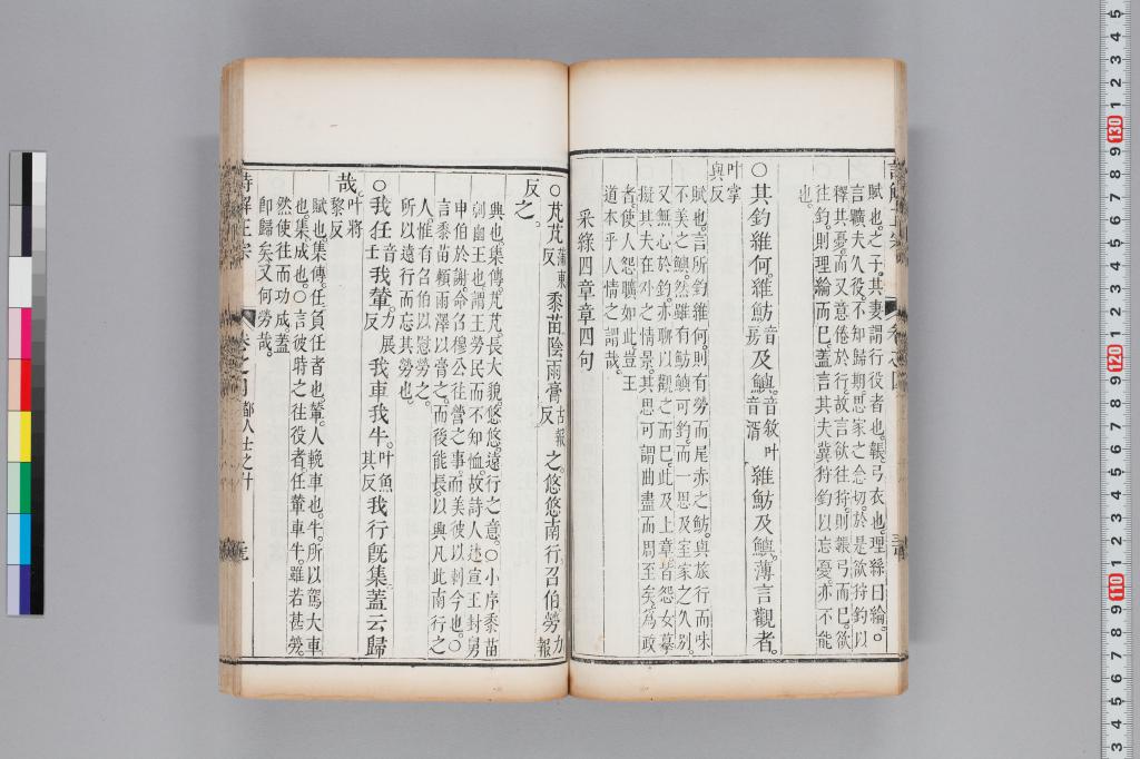 標準画像へ