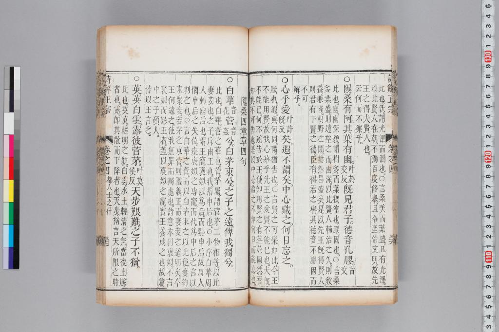 標準画像へ