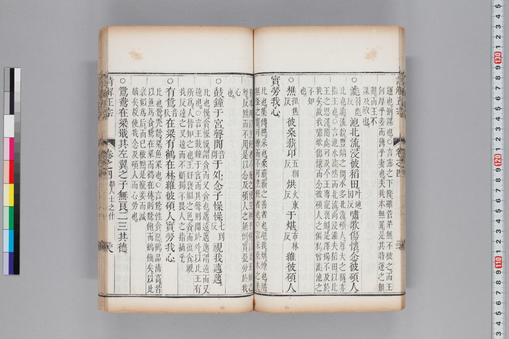 標準画像へ