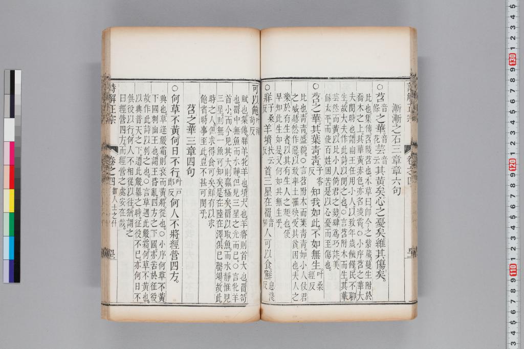 標準画像へ