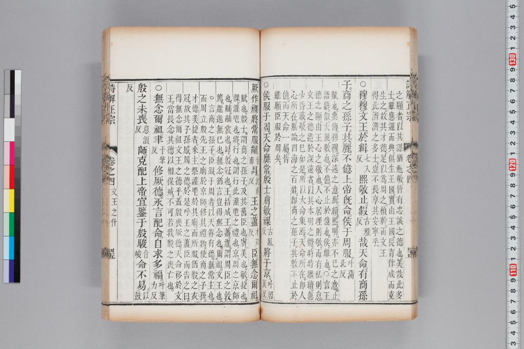 標準画像へ