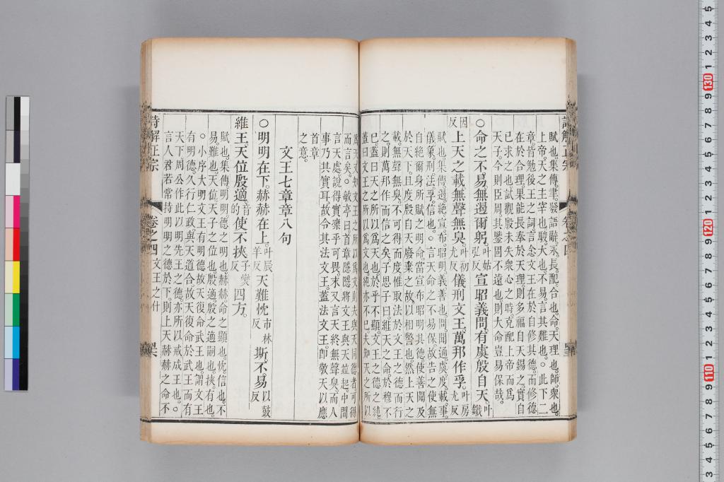 標準画像へ