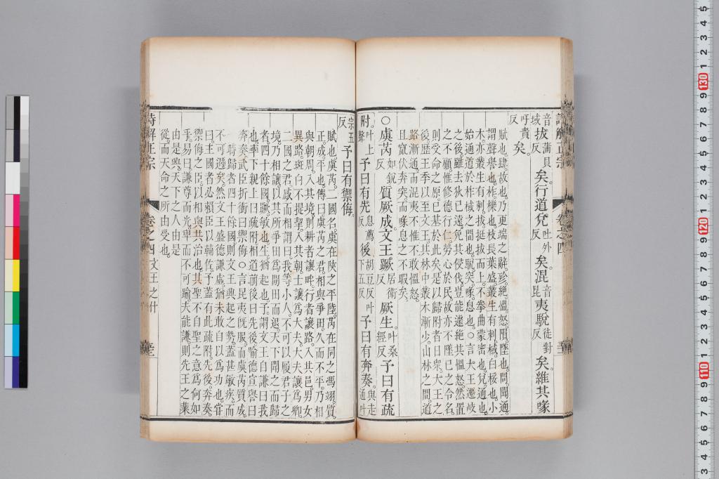 標準画像へ
