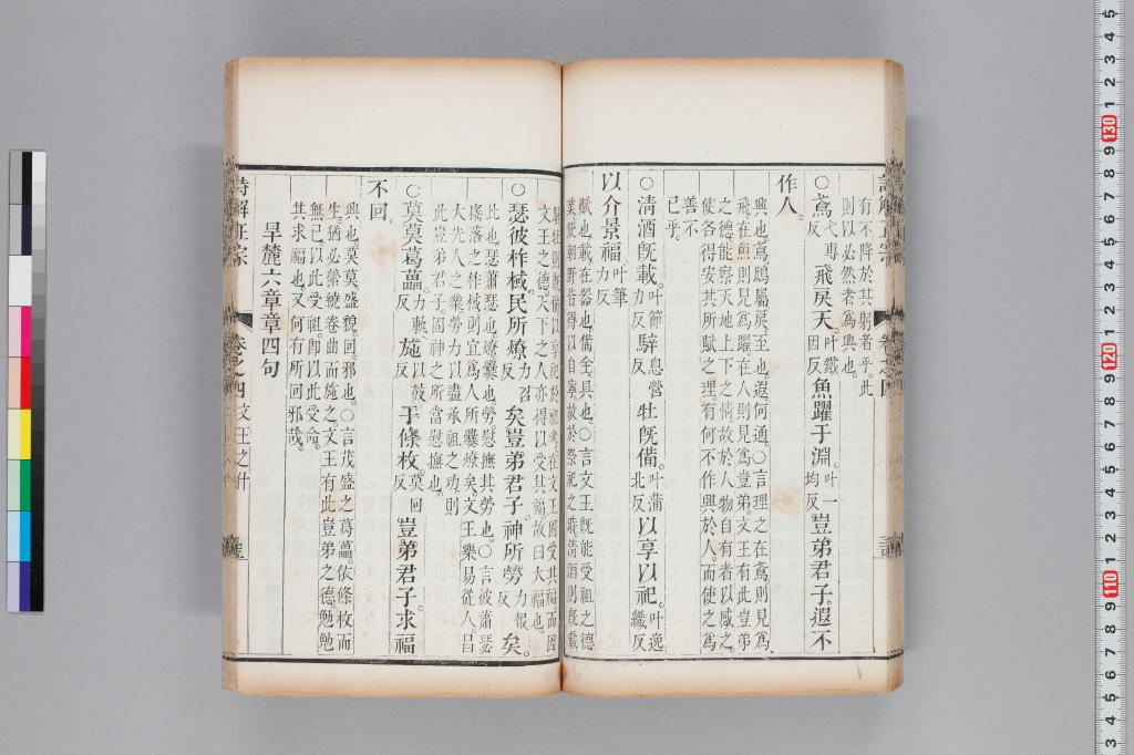 標準画像へ