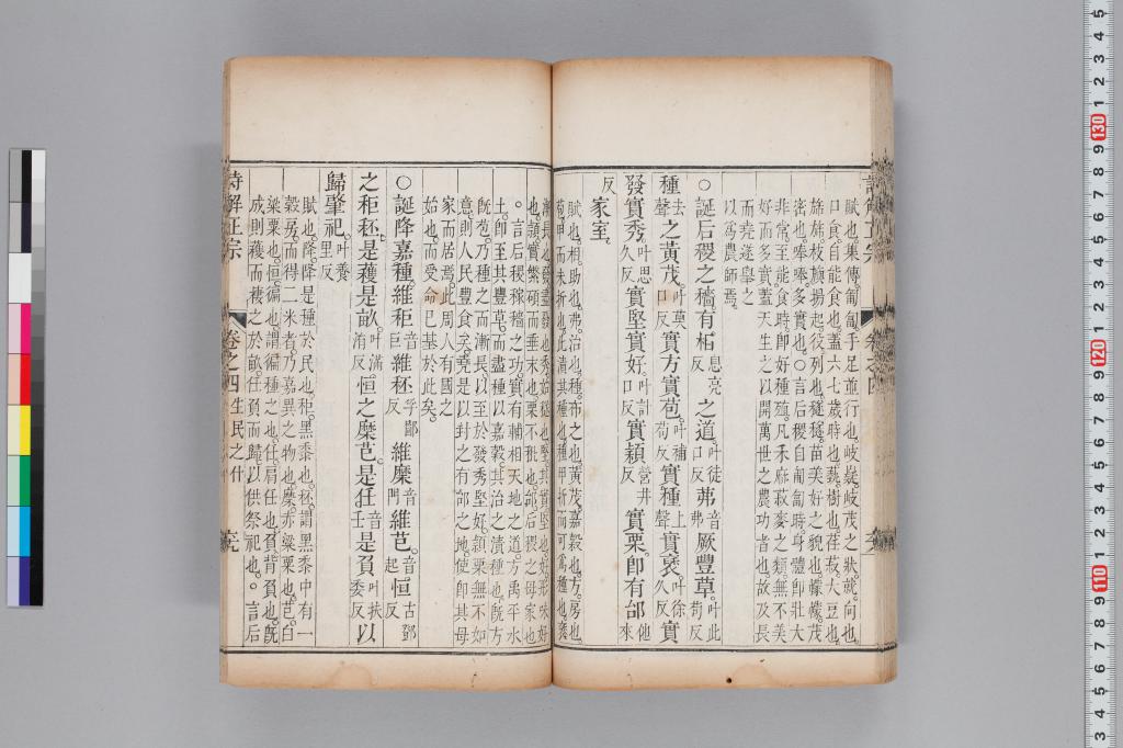 標準画像へ