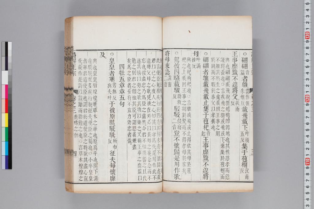 標準画像へ