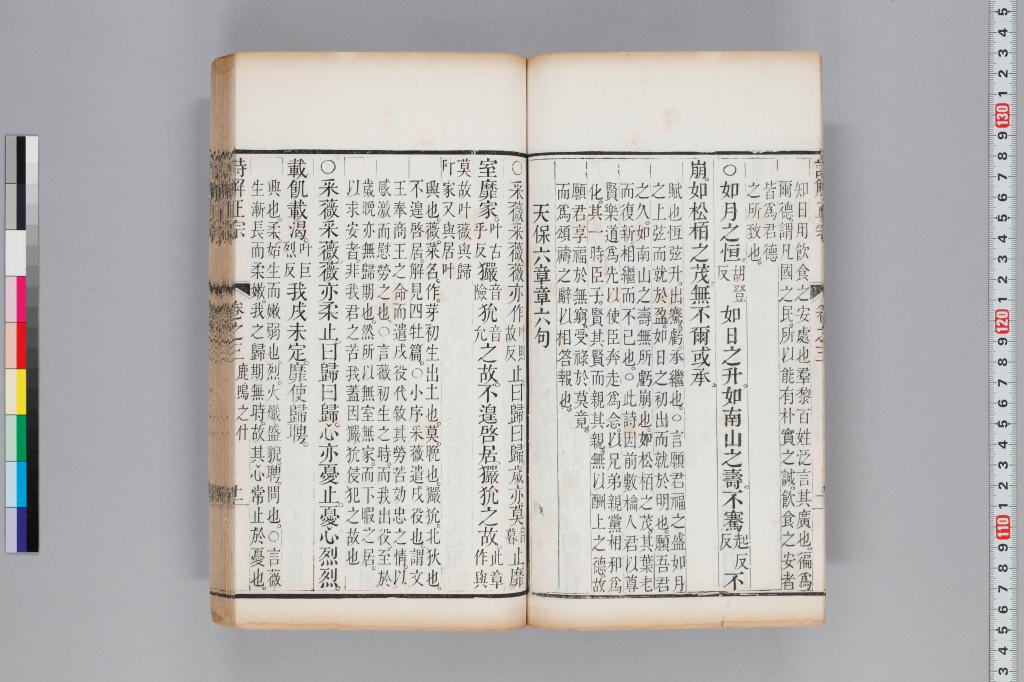標準画像へ