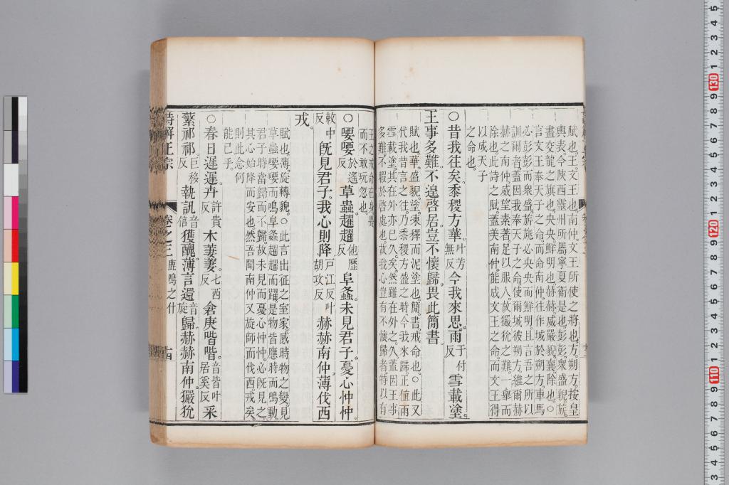 標準画像へ