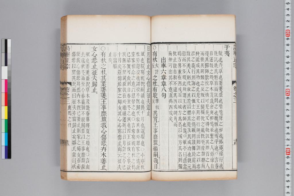 標準画像へ