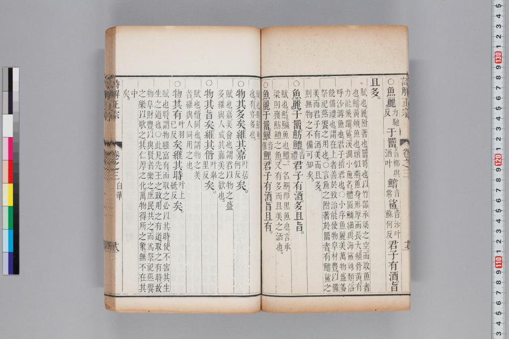標準画像へ
