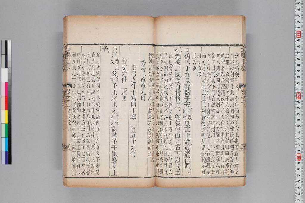 標準画像へ