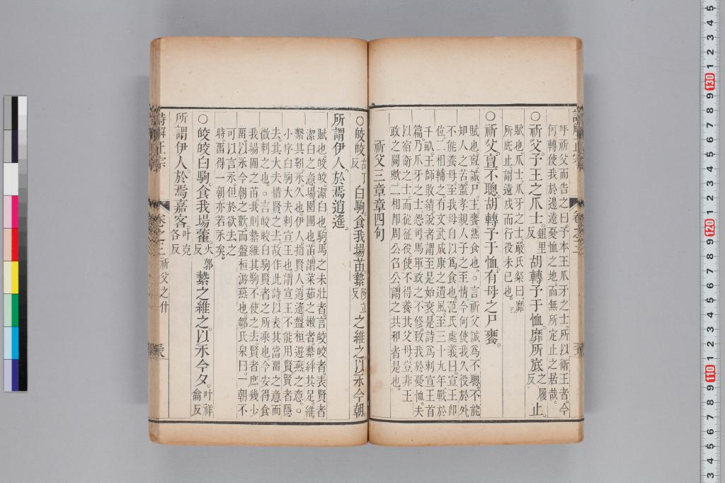標準画像へ