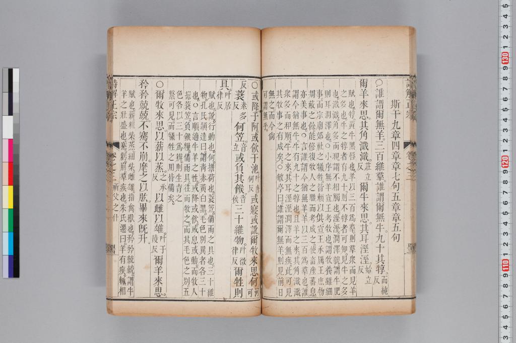 標準画像へ