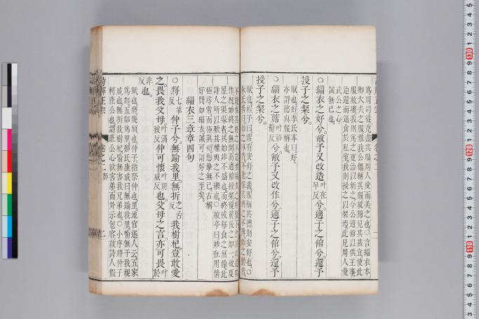 拡大画像へ