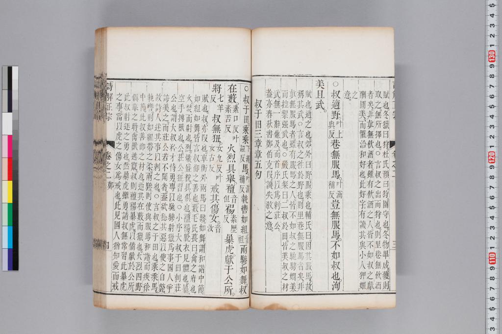 標準画像へ