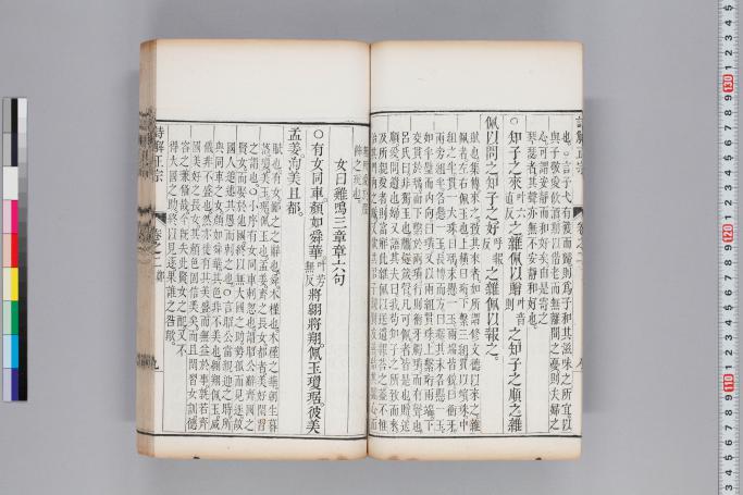 拡大画像へ