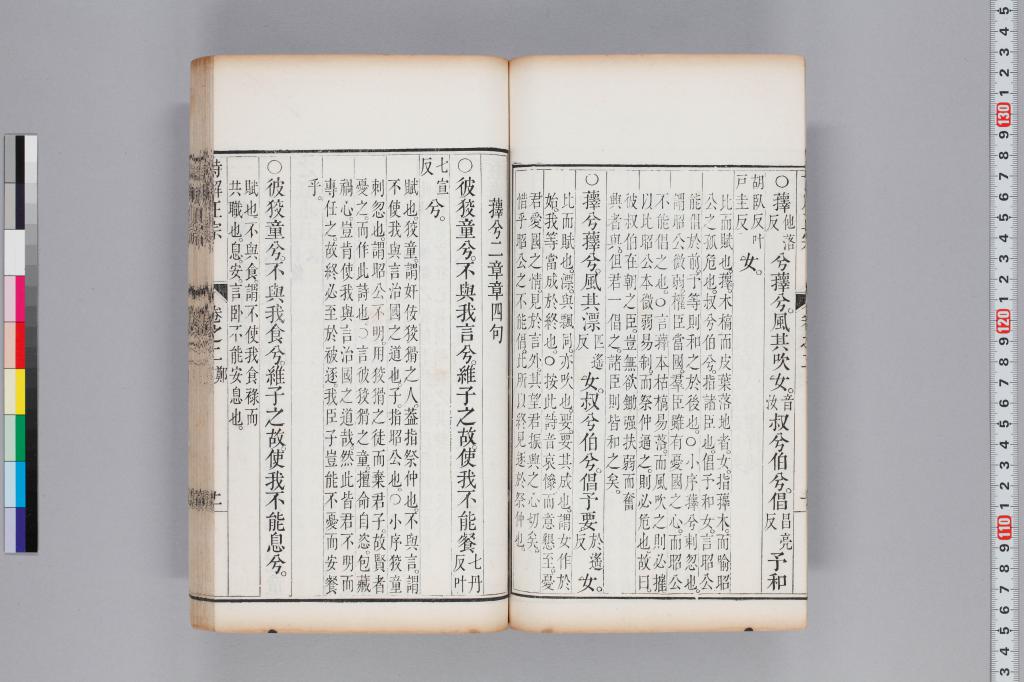 標準画像へ