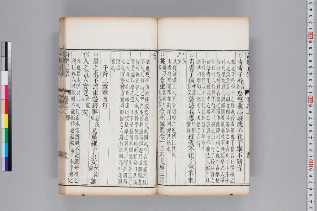 標準画像へ