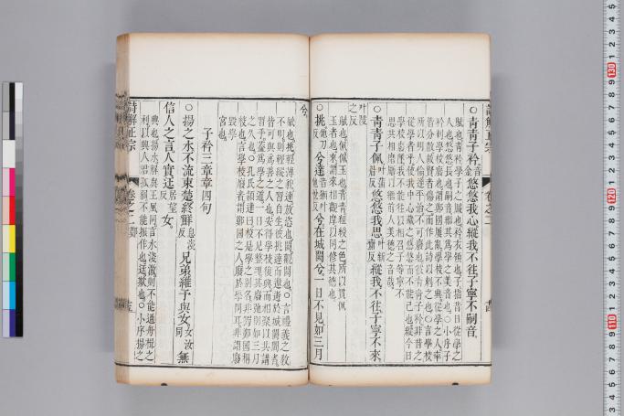 拡大画像へ