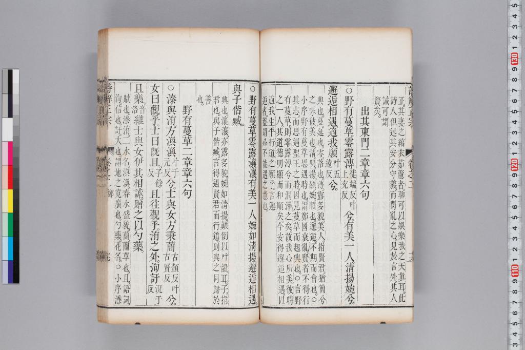 標準画像へ