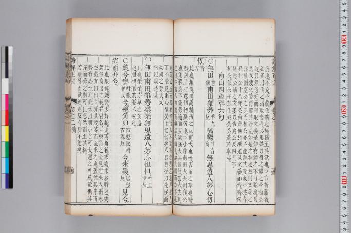 拡大画像へ