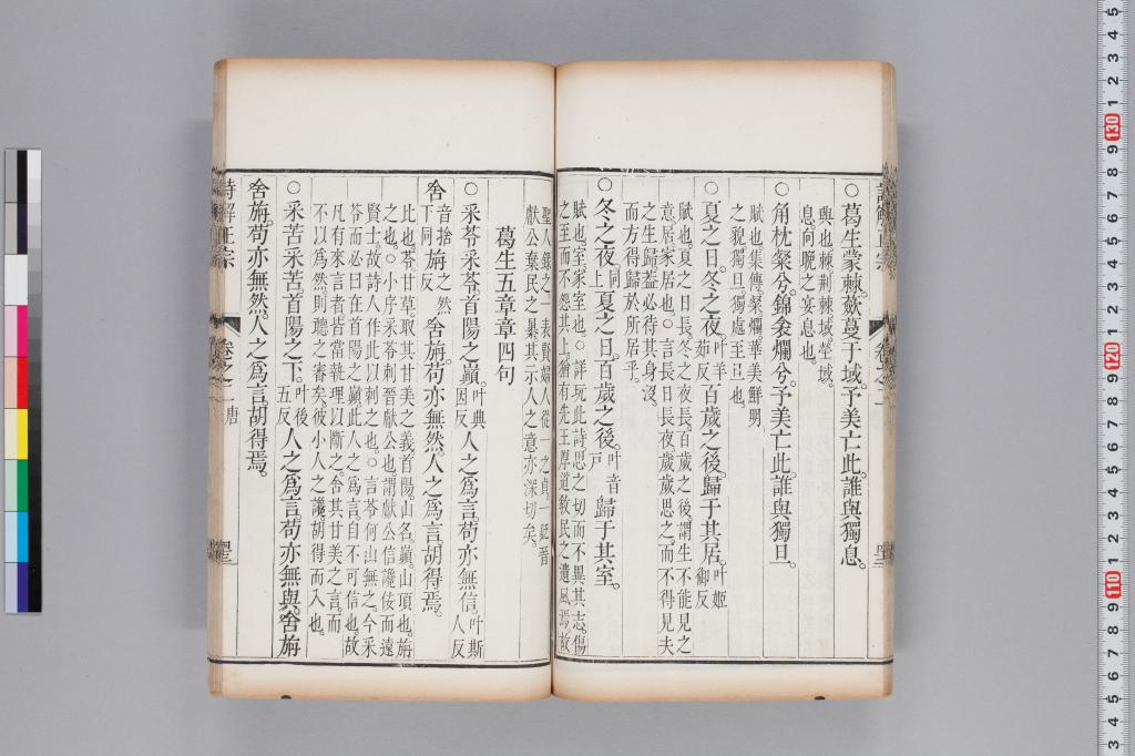 標準画像へ