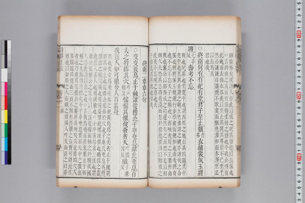標準画像へ