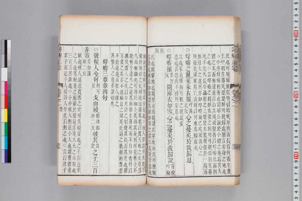 標準画像へ