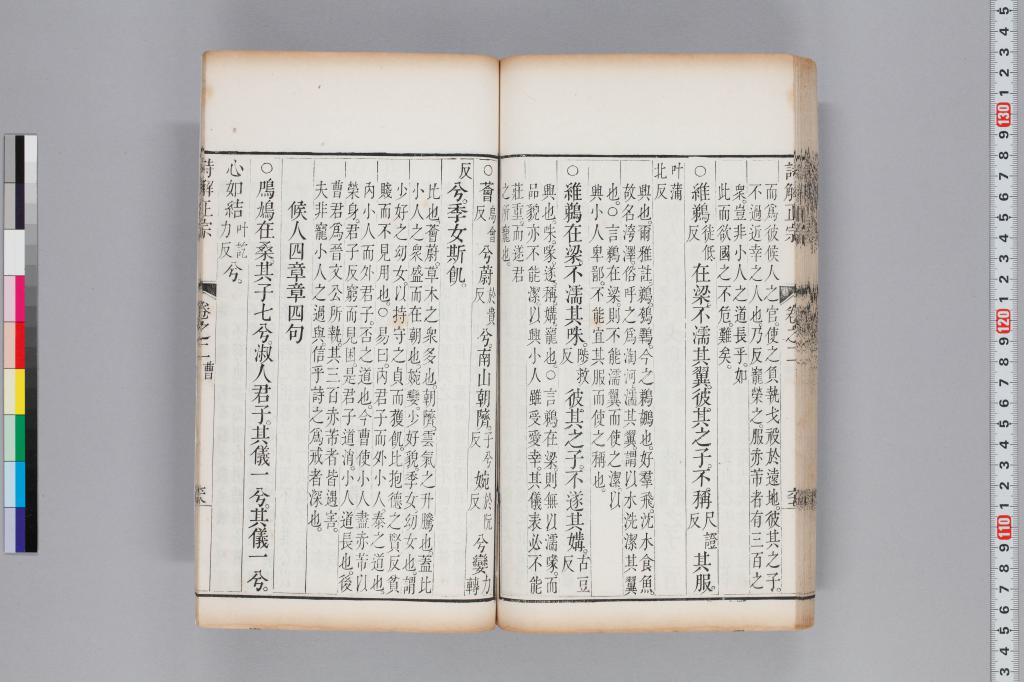 標準画像へ
