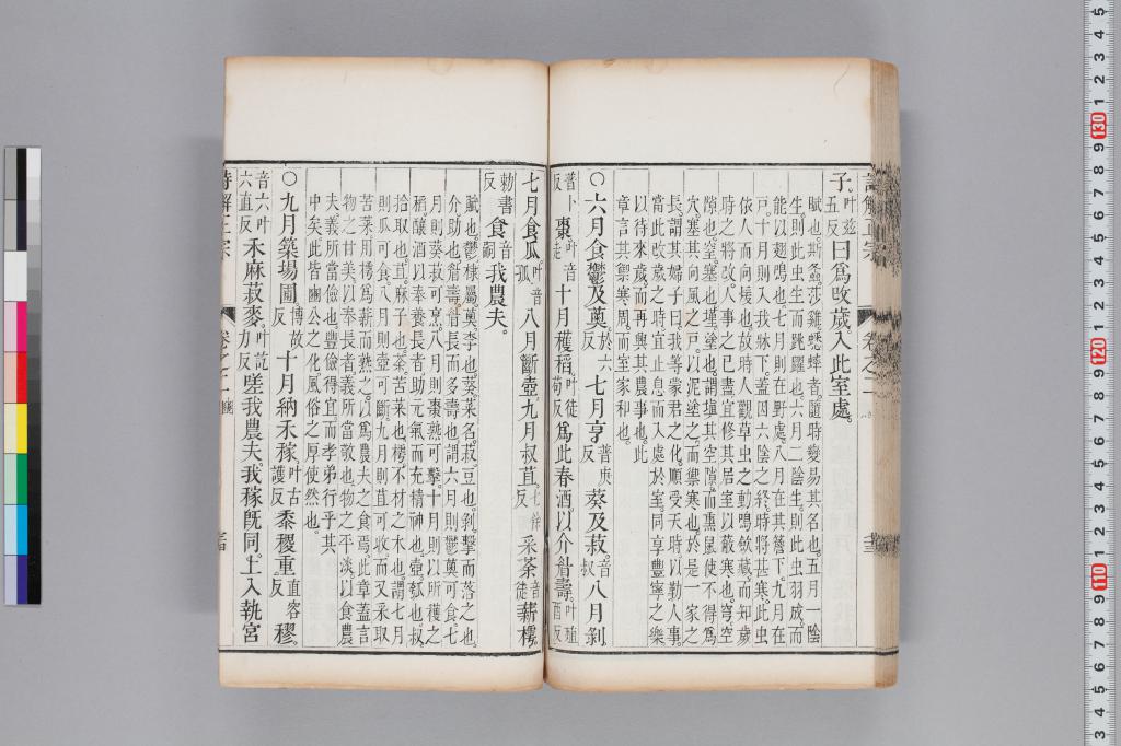 標準画像へ