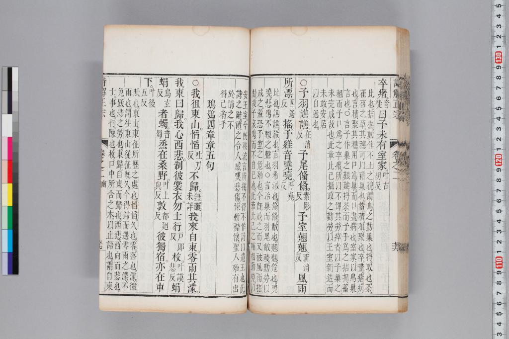 標準画像へ
