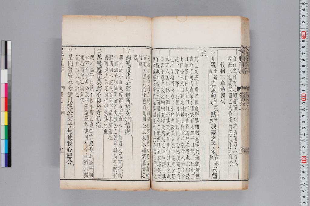 標準画像へ