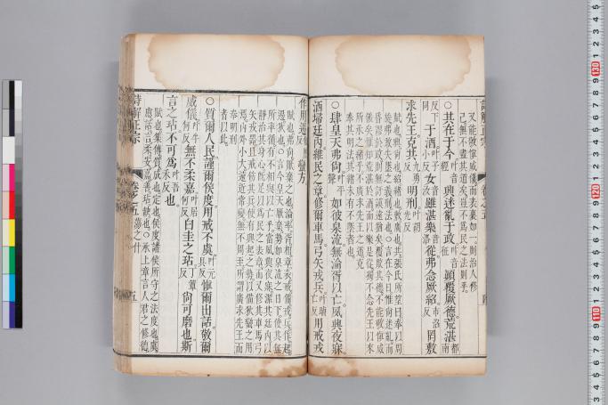 拡大画像へ