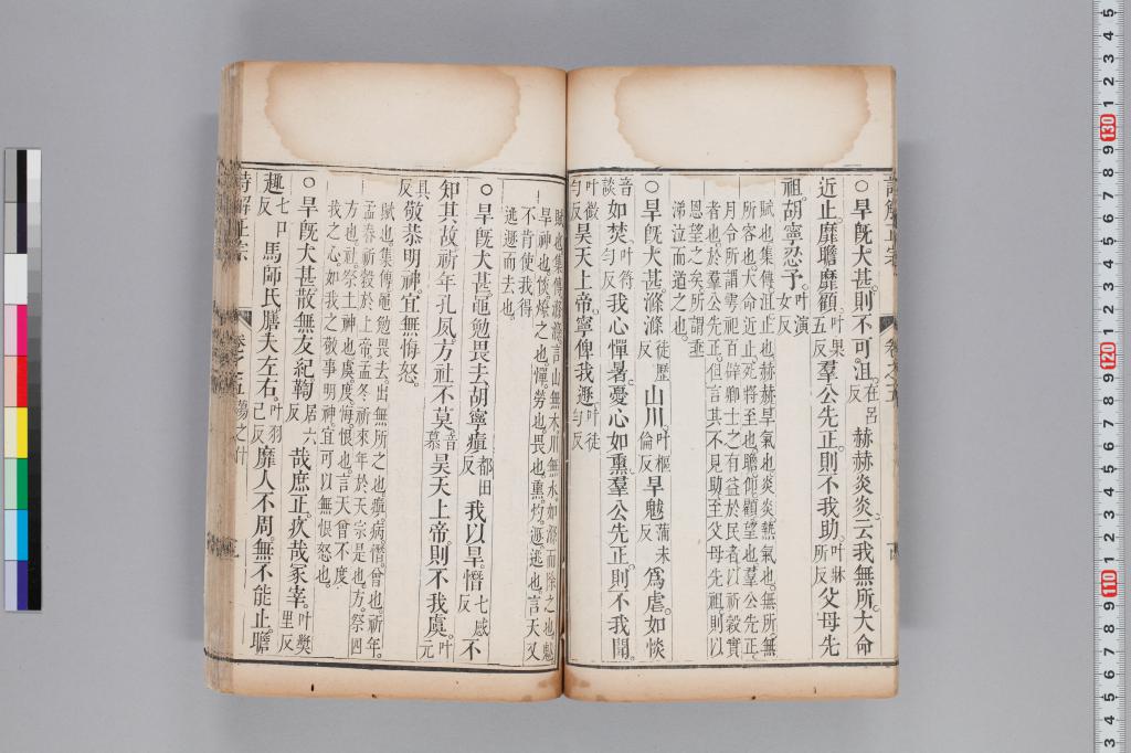 標準画像へ