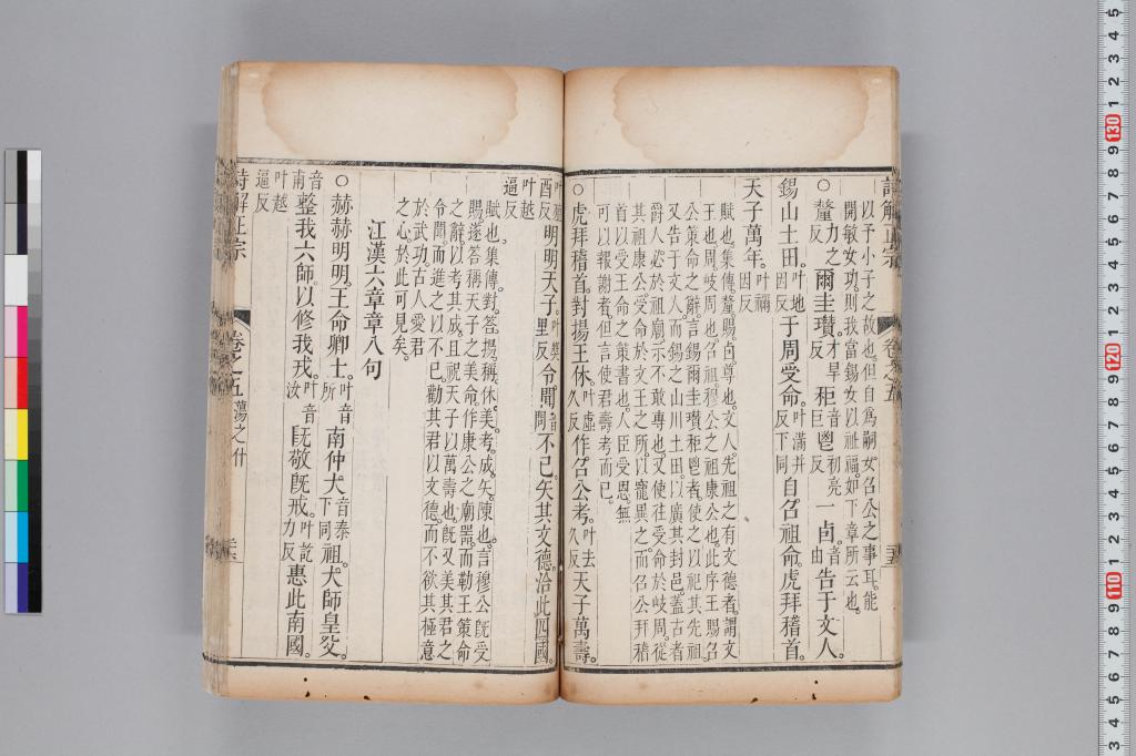 標準画像へ