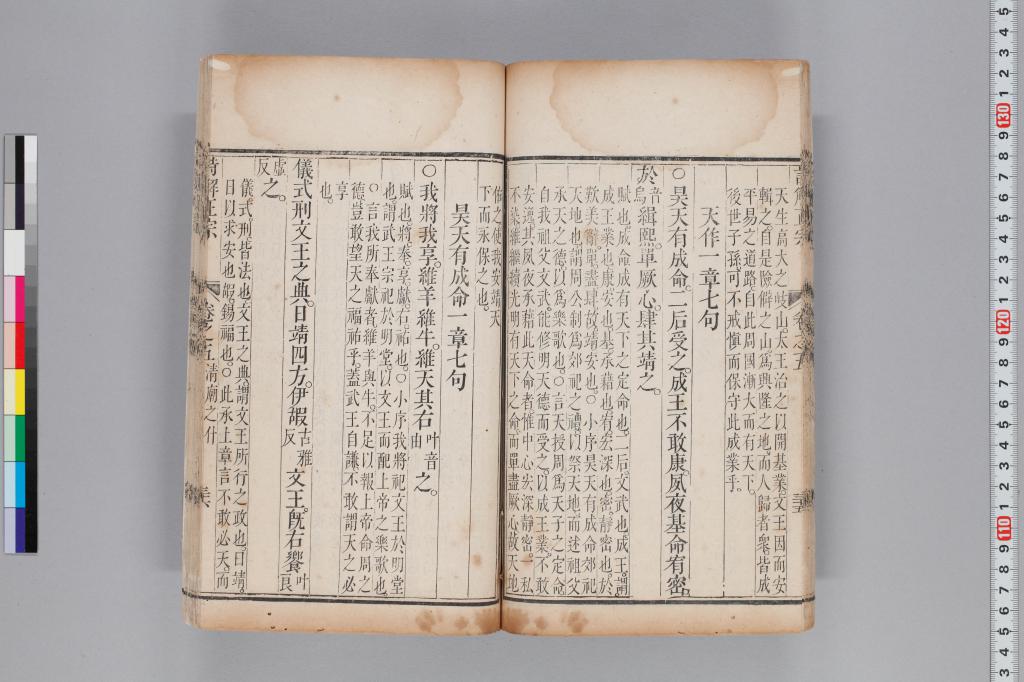 標準画像へ