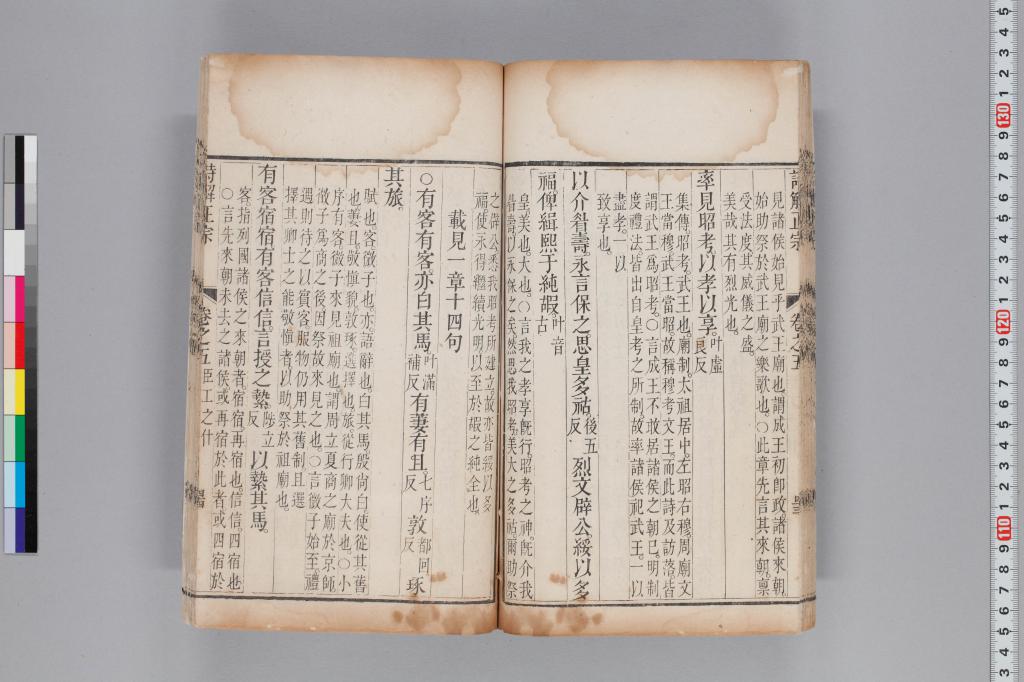 標準画像へ