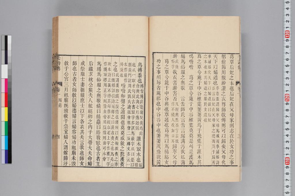 標準画像へ